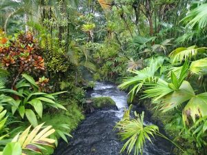 Tabacon Resort Costa Rica