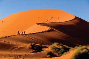 travel